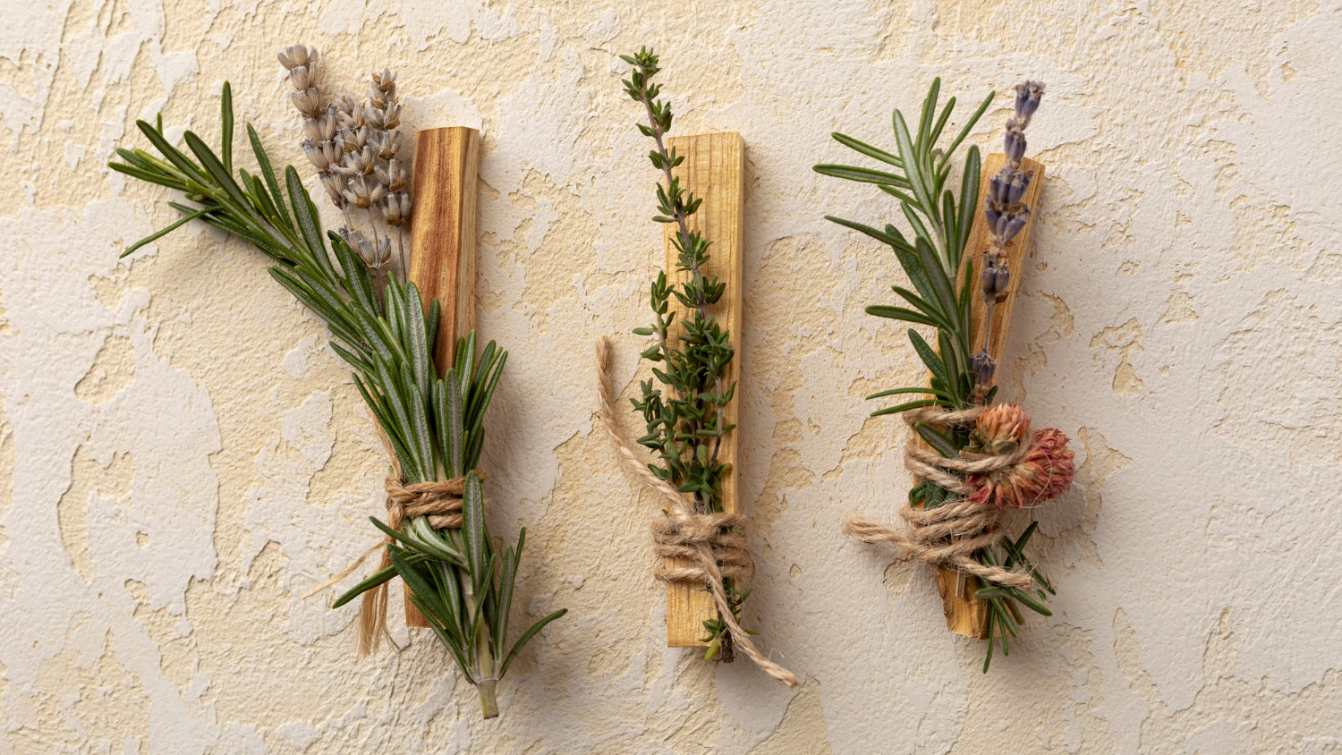 Le erbe aromatiche del Montefeltro: passeggiate botaniche e laboratori